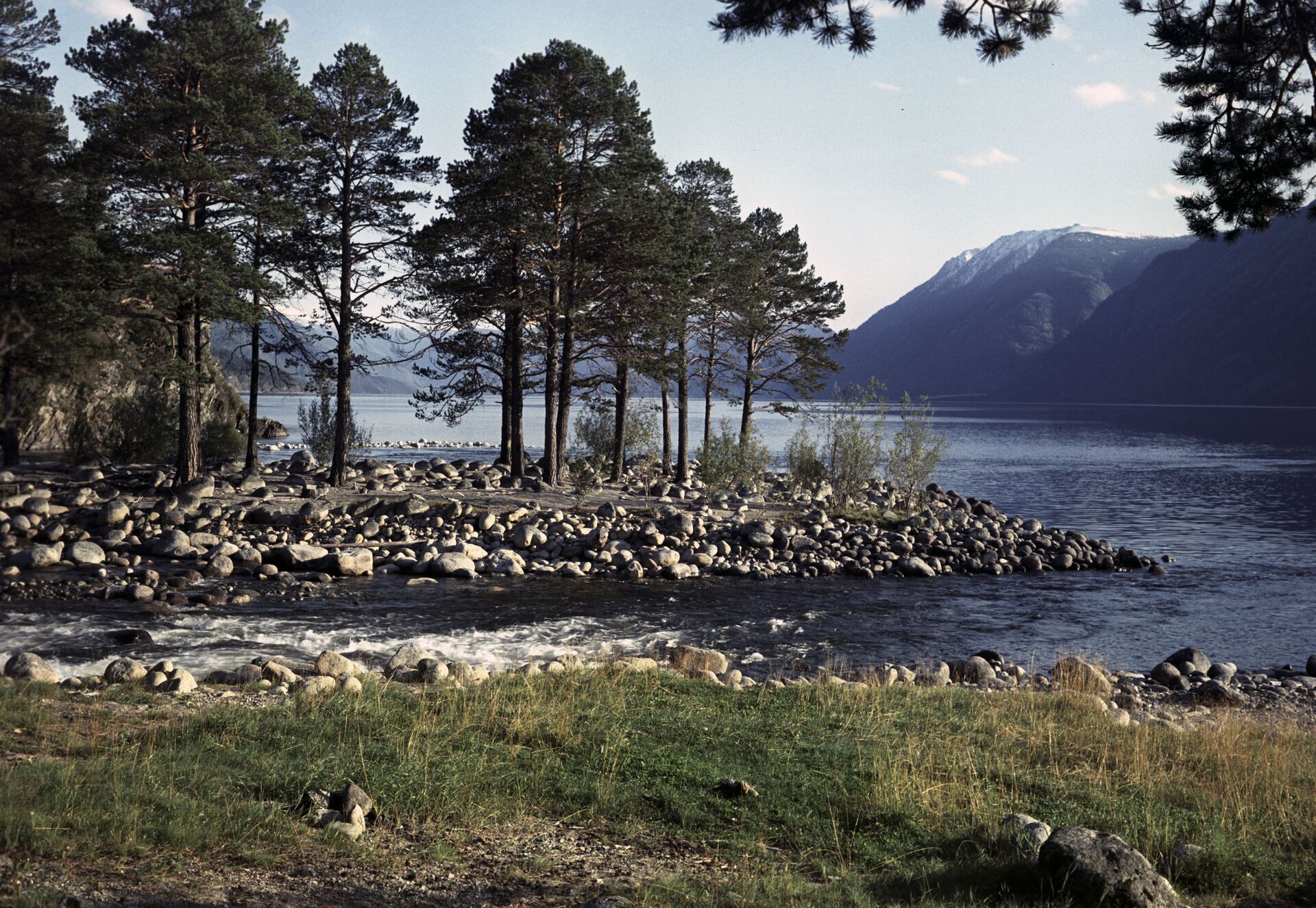 Алтайский природный биосферный заповедник - РИА Новости, 1920, 03.06.2022